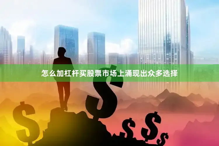 怎么加杠杆买股票市场上涌现出众多选择